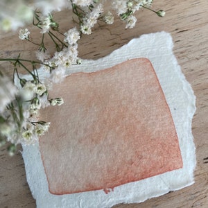 Handcrafted Watercolor Peach Rose