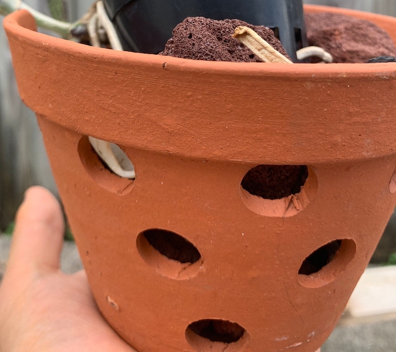 5 Clay Orchid Pot with Holes Etsy