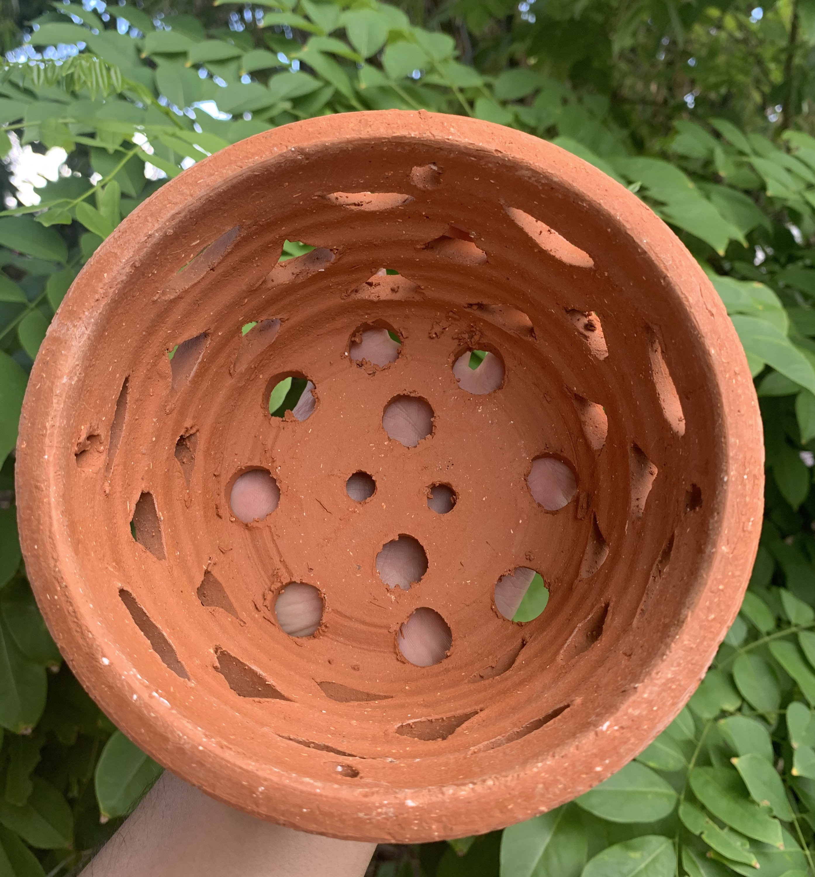 Ceramic Pots With Plants