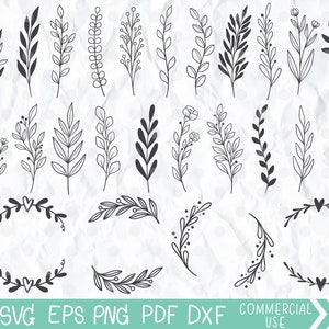 Hojas dibujadas a mano svg, corona svg, paquetes