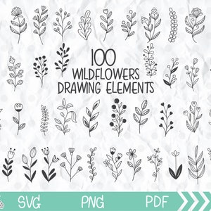 Wildflower Svg Bundle, Leaves and Branches Bundle Svg, hand drawn wildflowers png, Plants Flower clipart