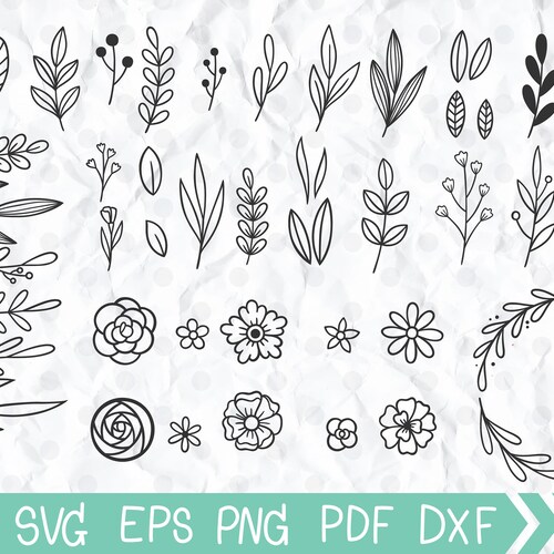 53 Hand Drawn Leaves and Floral SVG Branches Svg File Leaves - Etsy