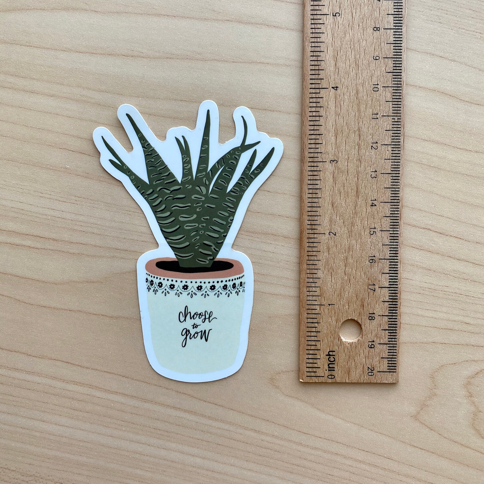 Growth Sticker Pack / VINYL STICKER / Succulent Stickers / - Etsy