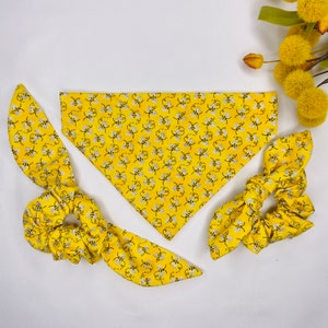 Personalizable Honey bee bandana and optional scrunchie, bandana and scrunchie set, dog bandana, bee bandana, bee scrunchie