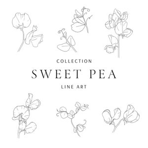 Sweet Pea Clip Art Set Minimal Abstract Line Art Fine Line - Etsy