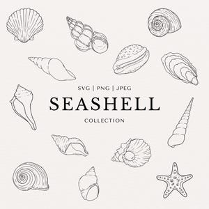 Könnte beinhalten: Schwarz-Weiß-Illustration einer Sammlung von Muscheln. Das Bild zeigt verschiedene Muschelarten, wie Jakobsmuscheln, Schnecken und einen Seestern, mit dem Text "Seashell Collection" in der Mitte.