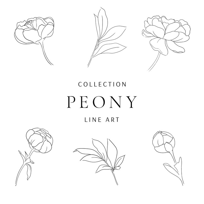 Peony Clip Art Set Minimal Abstract Line Art Fine Line - Etsy
