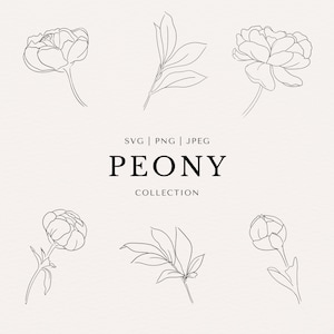 Peony Clip Art Set | Minimal Abstract Line Art | Fine Line | SVG | PNG | JPEG