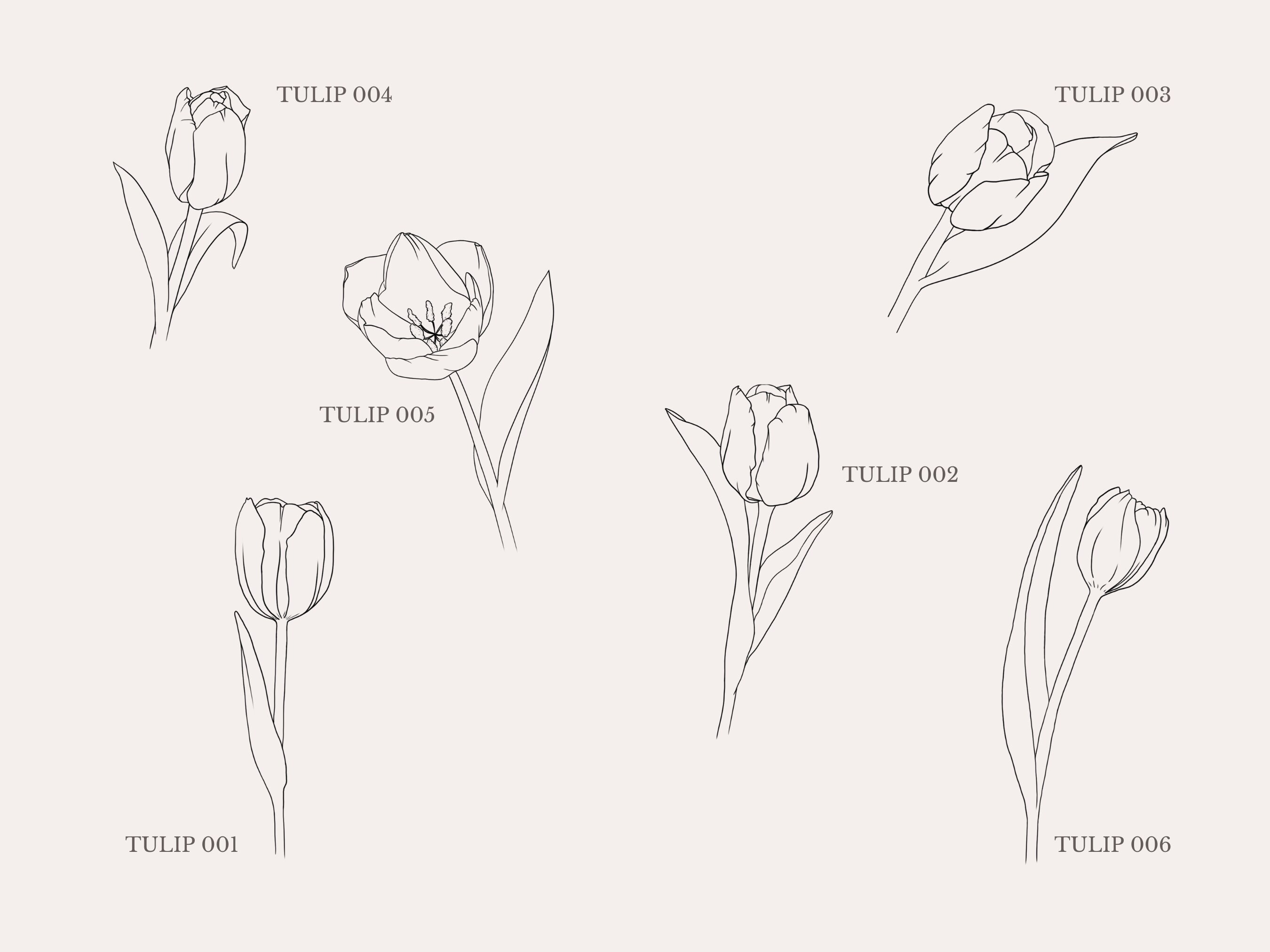 Tulip Clip Art Set Minimal Abstract Line Art Fine Line SVG PNG JPEG - Etsy
