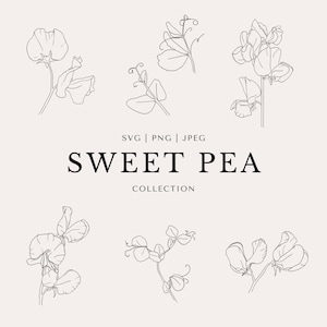 Sweet Pea Clip Art Set | Minimal Abstract Line Art | Fine Line | SVG | PNG | JPEG