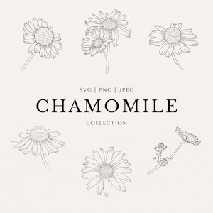 May include: A set of black and white line drawings of chamomile flowers. The flowers are drawn in a simple, elegant style. The drawings are perfect for use in crafting, scrapbooking, or other creative projects.