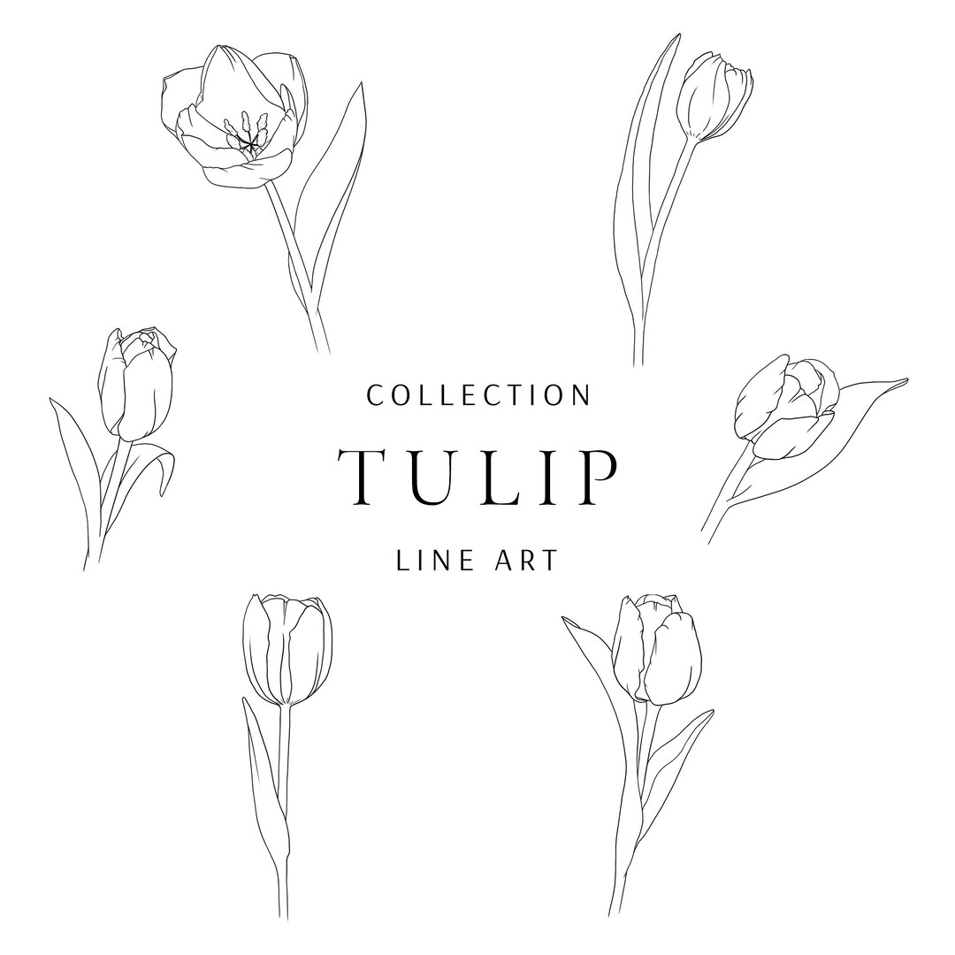 Tulip Clip Art Set Minimal Abstract Line Art Fine Line Etsy