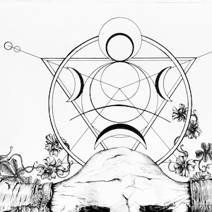 Sacred Geometry 12.8x30.3, Awaiting Water, graphite, charcoal, ink, Buffalo skull, flowers, signed and numbered. image 1