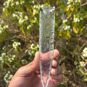 May include: A clear, elongated crystal arrowhead with a textured surface. The arrowhead is held in a hand against a blurred background of green foliage and white flowers. The crystal is approximately 15 cm long.