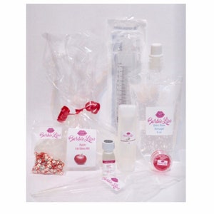 Lip Gloss Starter Kit