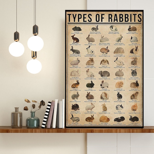 Types Of Rabbits Poster, Rabbits Poster, Vintage Rabbit Wall Art, Rabbit Lover Gift