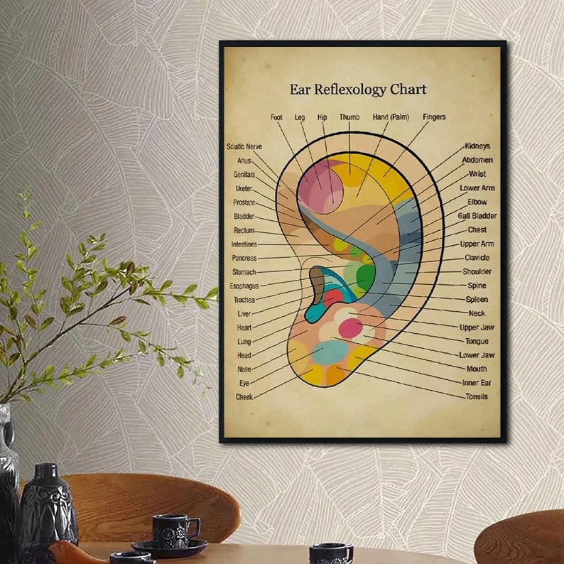Ear Reflexology Chart Poster Ear Reflexology Poster Massage Etsy