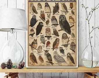 Types of Owls Vintage Poster, Owls Knowledge Poster, Vintage Owl Decor, Owl Lover Art Gfit For Owl Lover