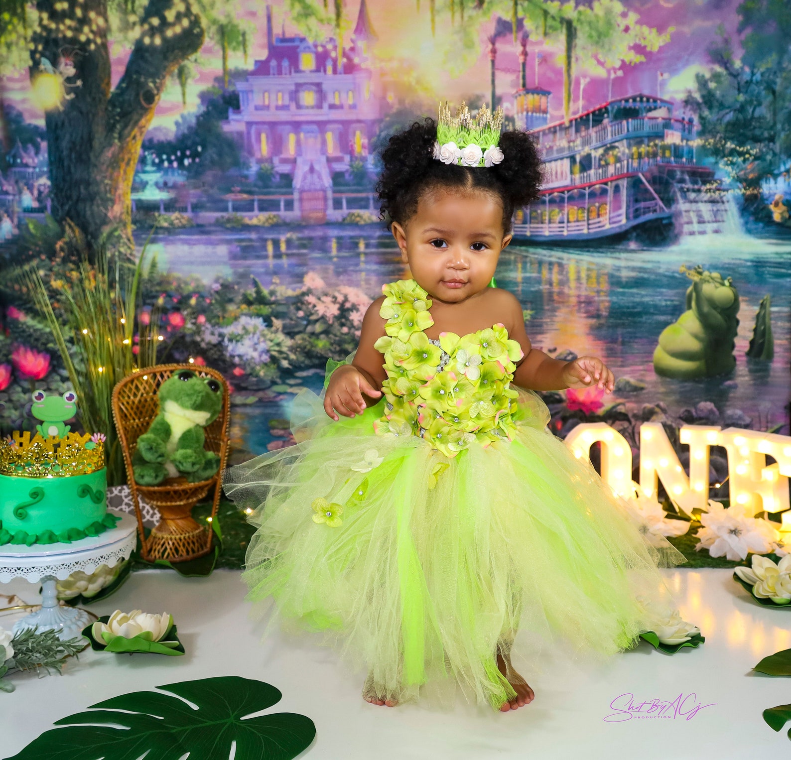 Frog Princess Halloween Costume Birthday Tutu Dress inspired Etsy