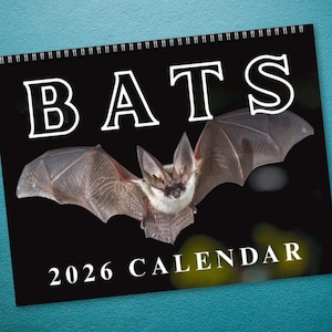 May include: A spiral-bound calendar featuring a bat with outstretched wings against a black background. The word "BATS" is in large white letters above the bat, and "2026 CALENDAR" is printed below.