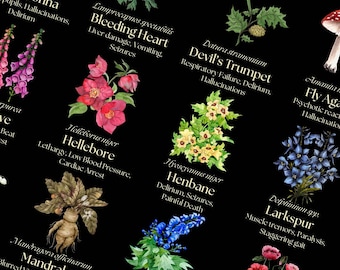 Poisonous Plants Poster: Botanical Guide, Dark Academia Wall Art