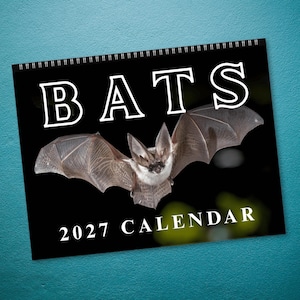 May include: A 2027 wall calendar with a black cover featuring a large white text title that reads BATS. The center of the cover displays a high-resolution photograph of a bat in flight with its wings spread wide against a dark background.