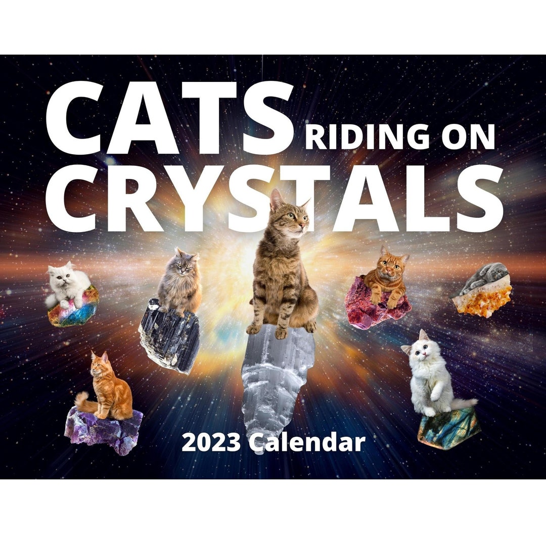 CRAZY CAT CALENDAR Cats Riding on Crystals 2023 Funny Cat Etsy