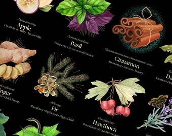 Póster de hierbas mágicas: Impresión botánica de brujería (16 x 20)