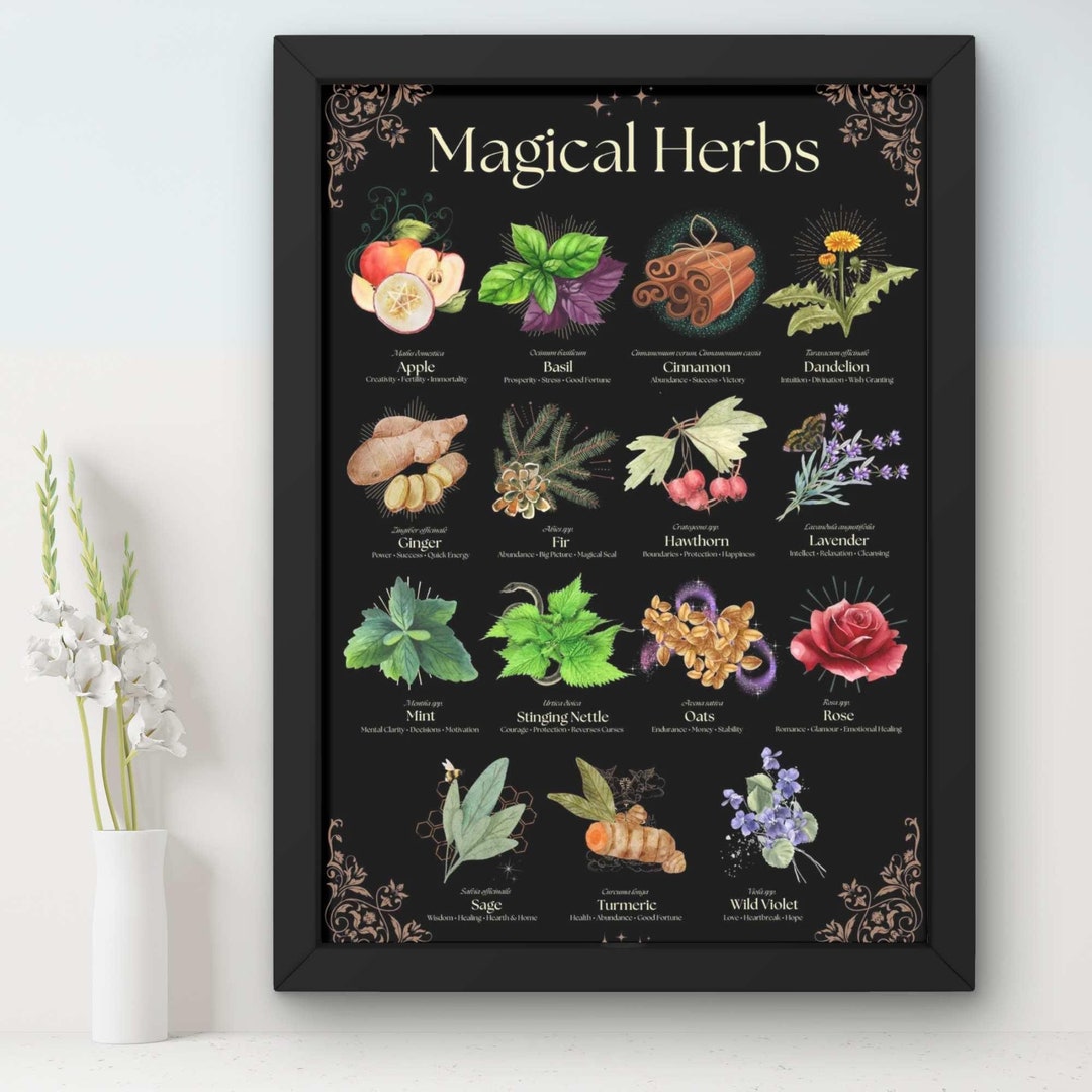 MAGICAL HERBS Poster Mystical Aesthetic Luxury Matte Botanical Plant ...