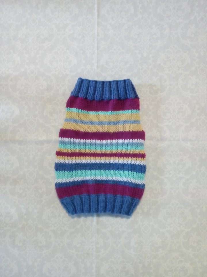 Pull Pour Petit Chien
