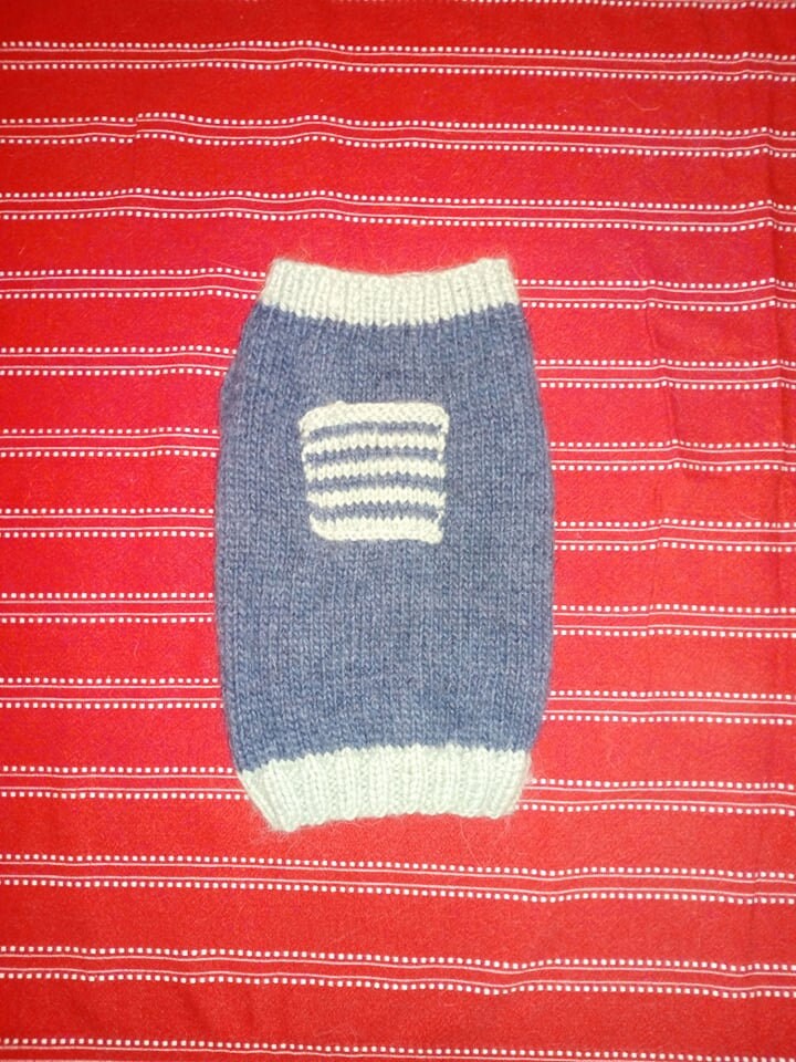 Pull Pour Petit Chien