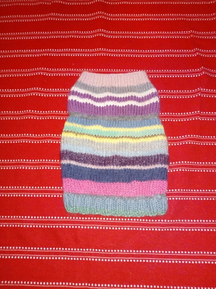 Pull Pour Petit Chien