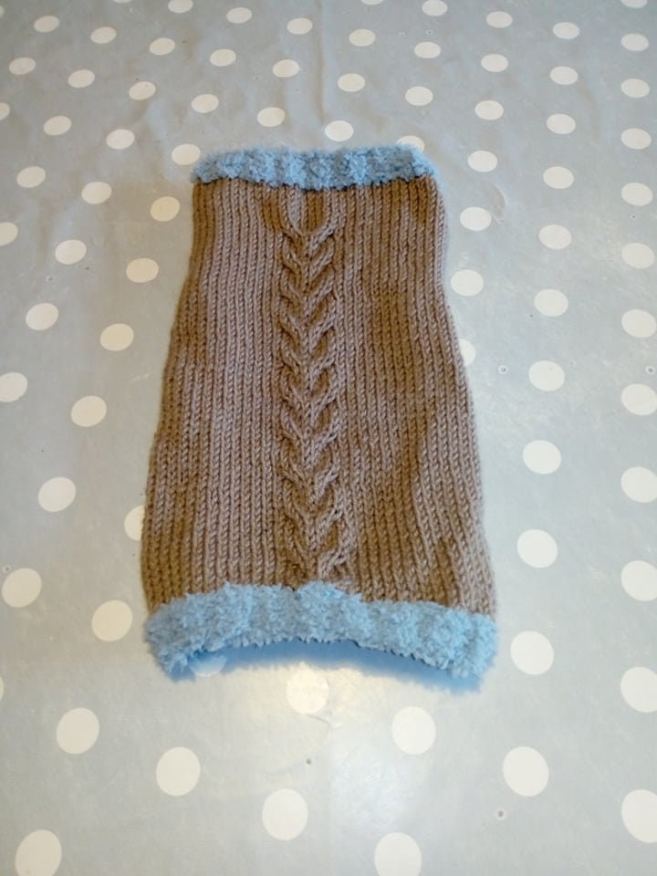 Pull Pour Petit Chien