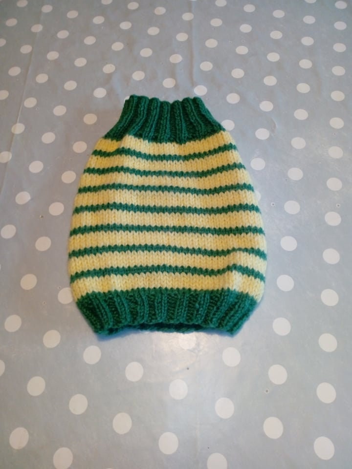 Pull Pour Petit Chien