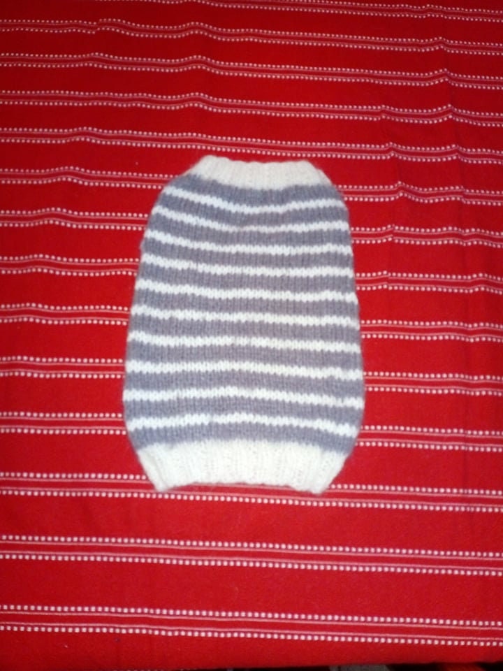 Pull Pour Petit Chien