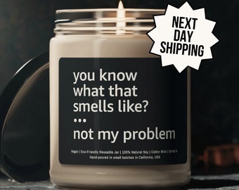 Sarcastic Candle, Funny Candle Gift, Candles With Sayings, You Know What That Smells Like Not My Problem, candle gifts, Gift For Her Him
