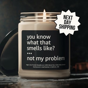You Know What That Smells Like Not My Problem Candle