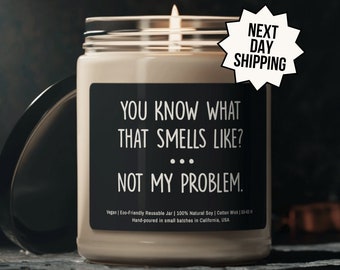 Sarcastic Candle, You Know What That Smells Like Not My Problem, Funny Candle Gift, Candles With Sayings, candle gifts, Gift For Her Him