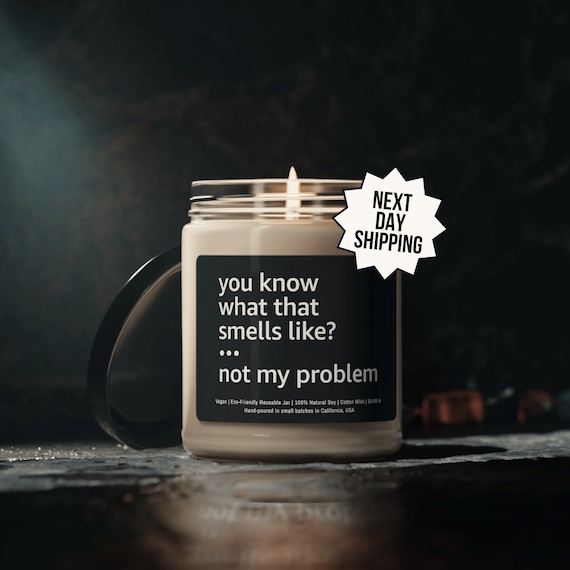 Sarcastic Candle, Funny Candle Gift, Candles With Sayings, You Know What That Smells Like Not My Problem, candle gifts, Gift For Her Him