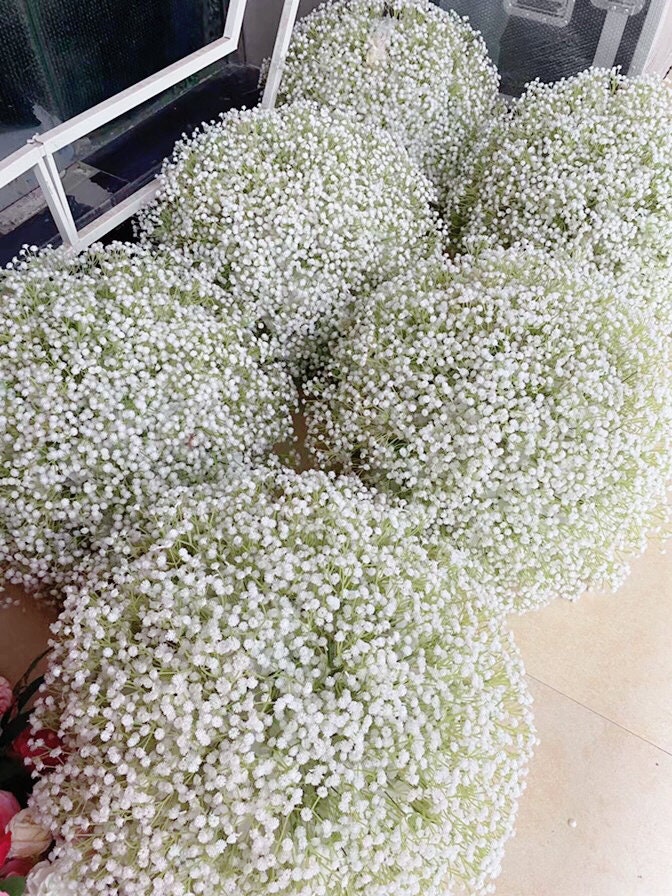 50Pcs Mini Dried Baby's Breath Flowers for Resin Art Craft DIY, 3000+  Natural Ivory White Bulk Flowers, Pressed Gypsophila Bouquet Gift for