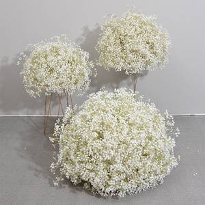  N&T NIETING Babys Breath Artificial Flowers,10Pcs Fake White Baby  Breath Flowers Artificial Bulk, Real Touch Faux Babies Breath Gypsophila  for Wedding Floral Bouquets Party Decor : Health & Household