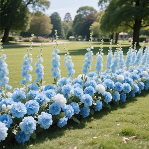 Puede incluir: Una vibrante exhibici&oacute;n de flores azul claro y blancas en un jard&iacute;n. El arreglo presenta altos delfinios y racimos de flores m&aacute;s redondas, creando un efecto en capas sobre un fondo de hierba verde y &aacute;rboles.