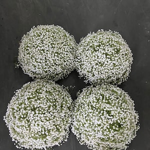 Full Baby Breath Flower Ball,Wedding Table Centrepiece,White Rose Flower Ball,Table Flower,Floral Ball For Wedding Anniversary Party Decor