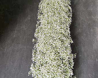 May include: A long, narrow arrangement of white baby's breath flowers against a dark gray background.