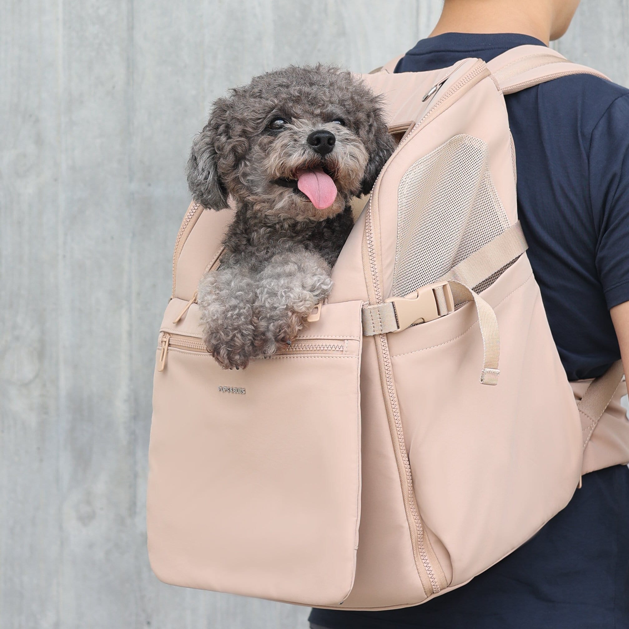 CuddleBaby Front Pet Carrier Backpack for 13 lbs(6 kg) Pets|Julibee's Almond