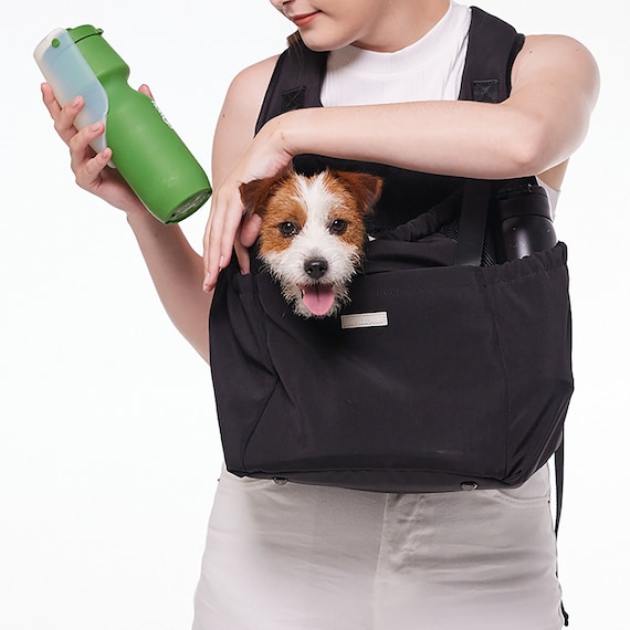 Small pet carriers  Carry your pet in style