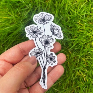 October Birth Month Flower Vinyl Stickers – Black & White Hand-Drawn Designs, Cosmos Birthday Sticker