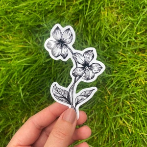 February Birth Flower Sticker: Hand-Drawn Violet, Black & White Vinyl
