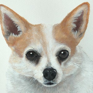 Hand Painted Custom Pet Portrait