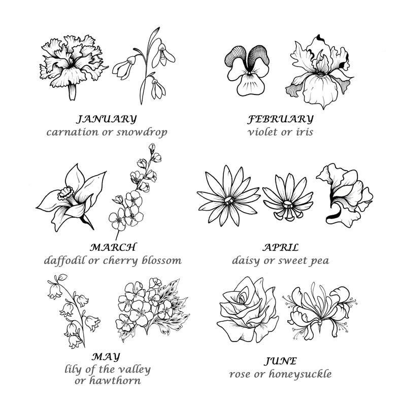 May include: Black and white botanical illustrations of flowers representing each month of the year. Includes carnation, snowdrop, violet, iris, daffodil, cherry blossom, daisy, sweet pea, lily of the valley, hawthorn, rose, and honeysuckle.